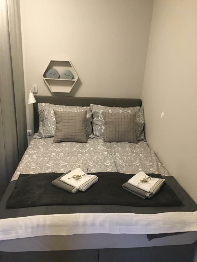 Apartment Nobl Plac ツェリェ エクステリア 写真