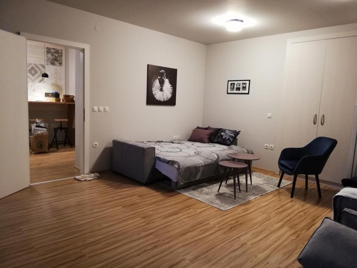 Apartment Nobl Plac ツェリェ エクステリア 写真